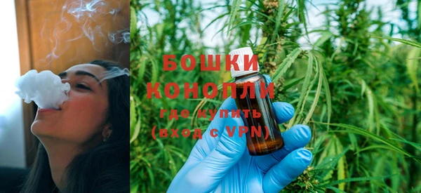 ПСИЛОЦИБИНОВЫЕ ГРИБЫ Баксан