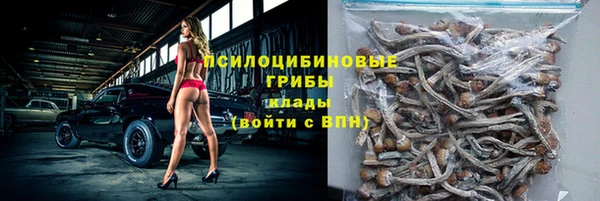 ПСИЛОЦИБИНОВЫЕ ГРИБЫ Баксан
