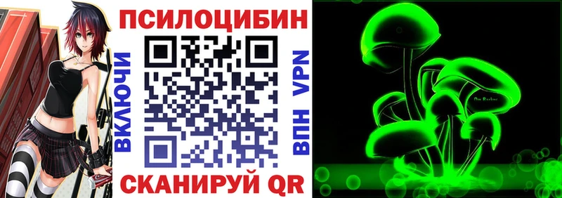 Псилоцибиновые грибы Psilocybine cubensis  Онега 