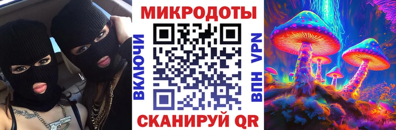 Галлюциногенные грибы мицелий Онега